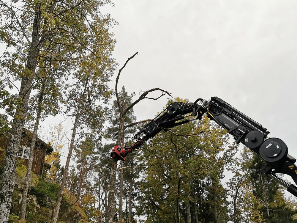 Kranarm sträcker sig upp mot en torrgran intill ett fritidshus